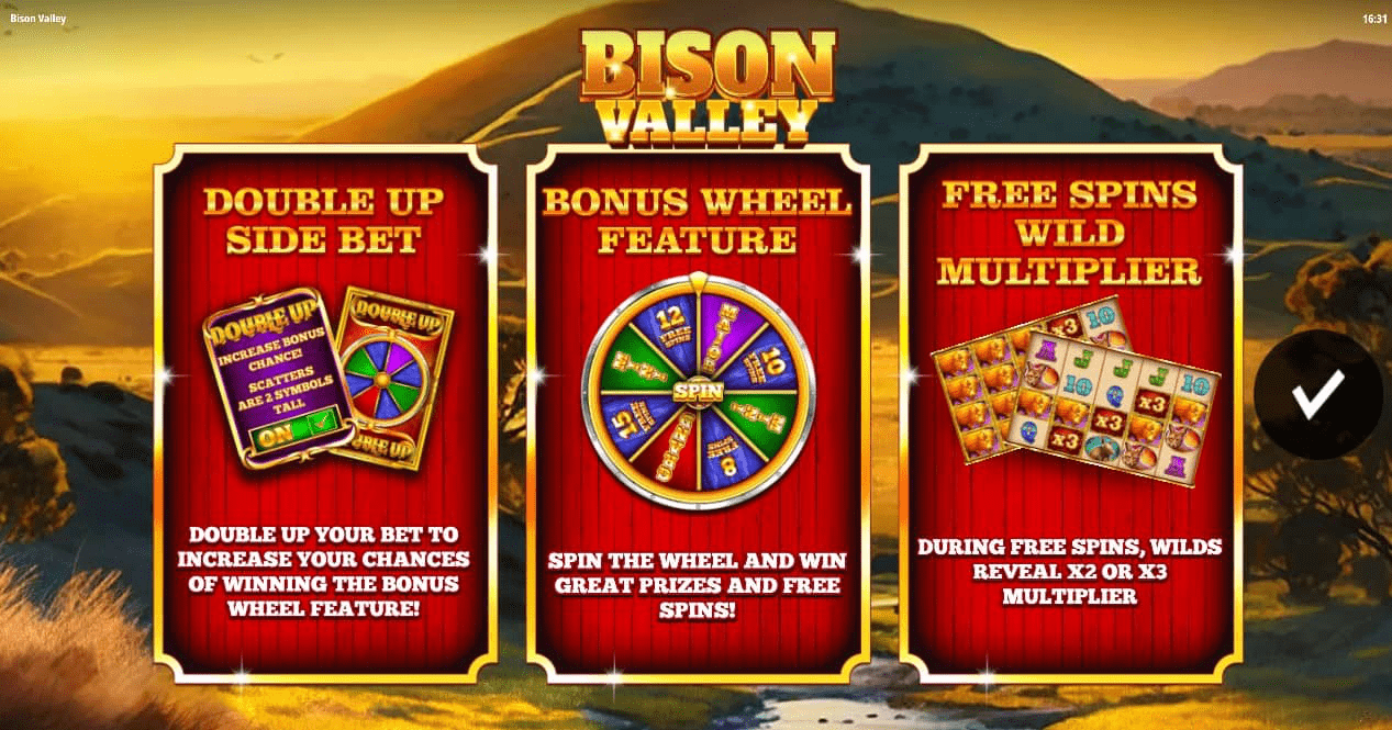Bison Valley recensie